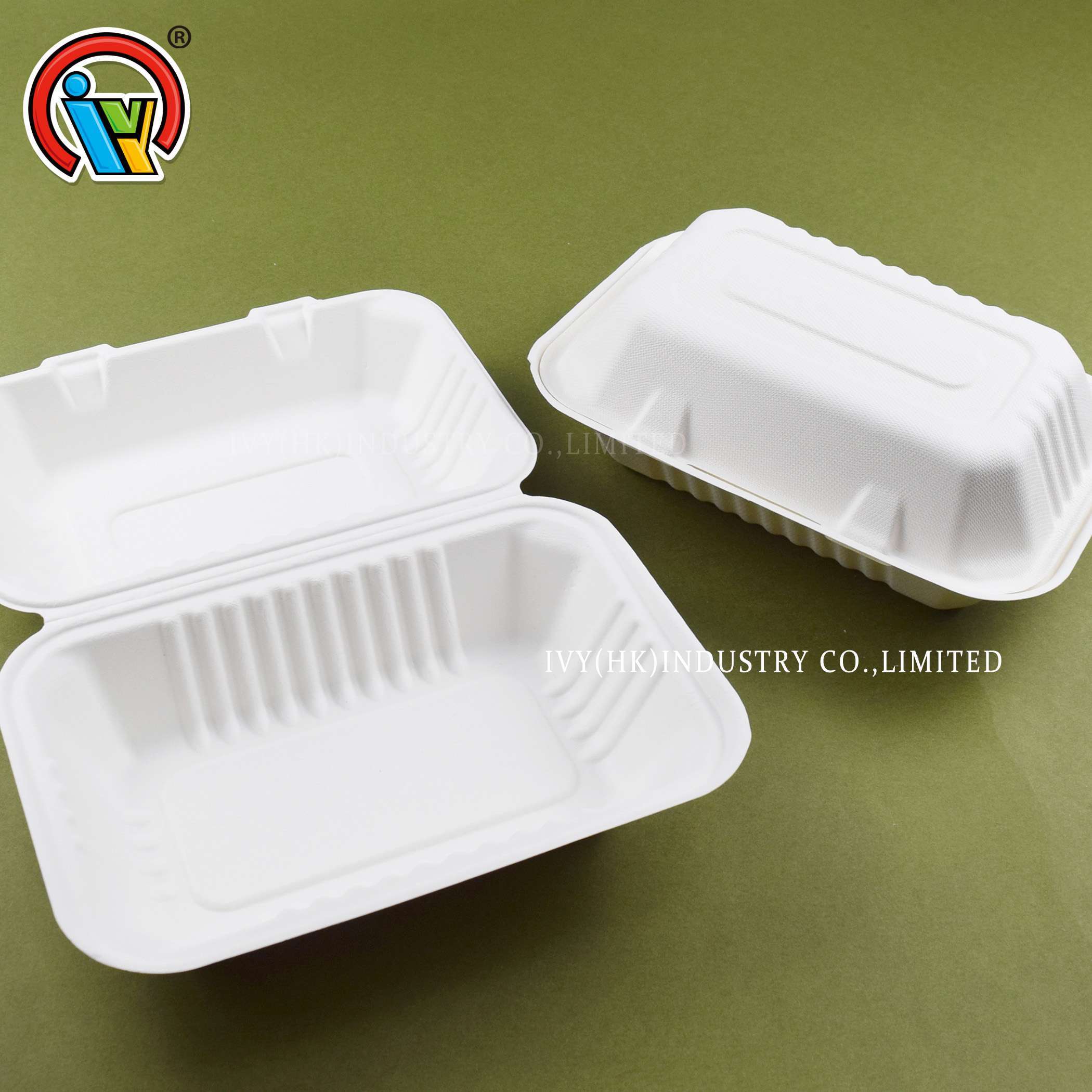 boîte à lunch biodégradable en gros