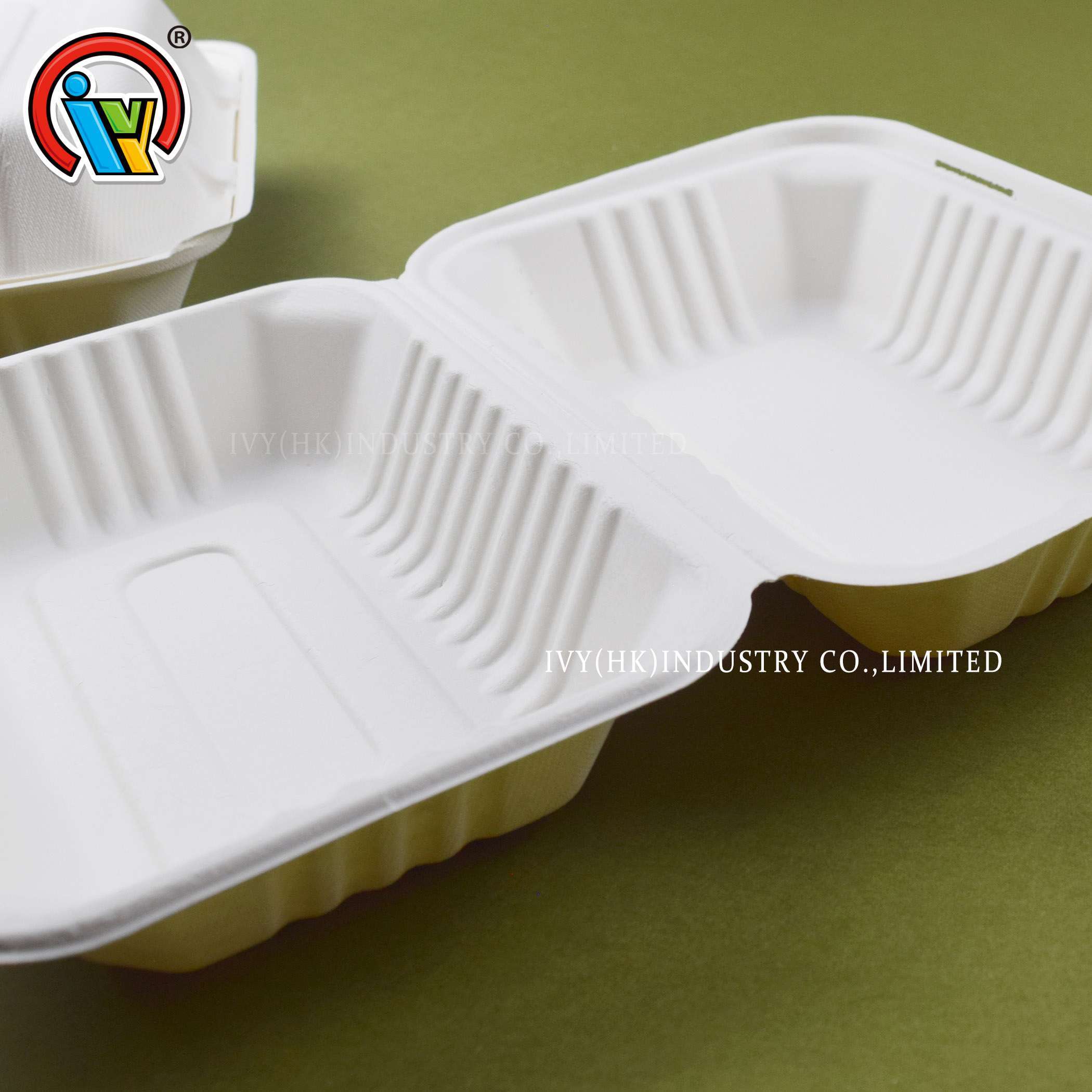 vente en gros contenants de boîte à lunch écologiques