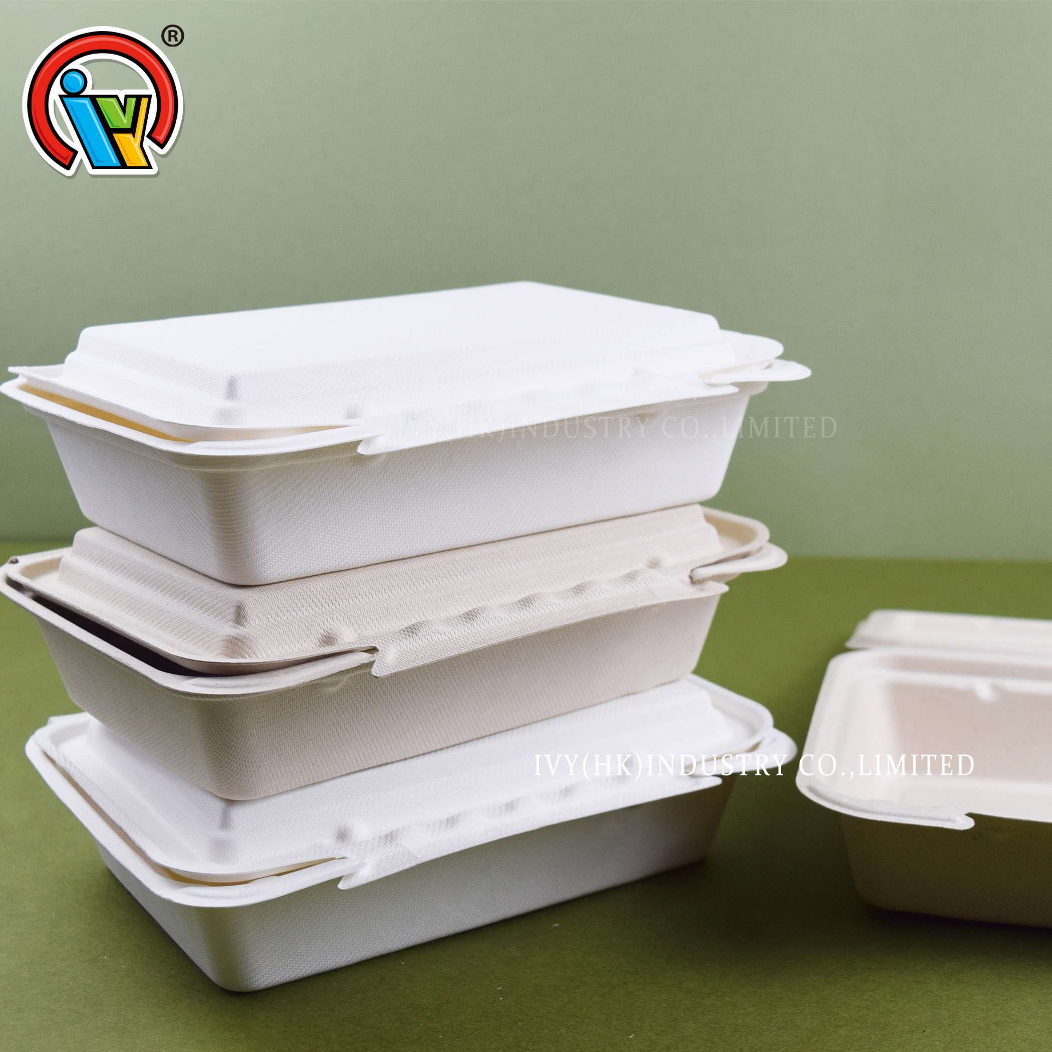 boîte à lunch compostable