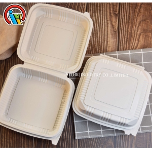 boîte à lunch jetable biodégradable

