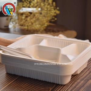 lunch box biodégradable à quatre compartiments
