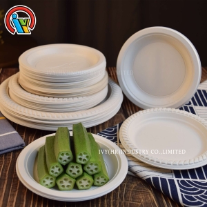 assiettes jetables biodégradables
