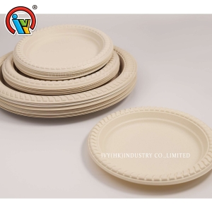 assiettes jetables biodégradables

