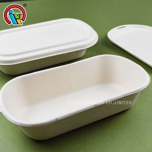 Boîte à lunch biodégradable écologique