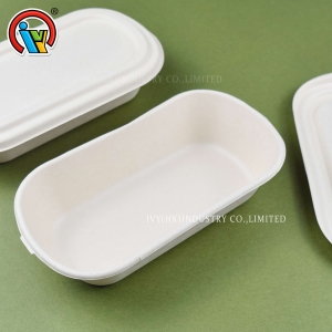 Boîte à lunch biodégradable écologique