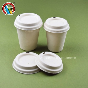 Tasses à café biodégradables avec couvercles