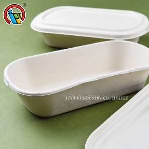 Boîte à lunch biodégradable écologique