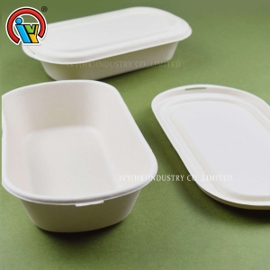 Boîte à lunch biodégradable écologique