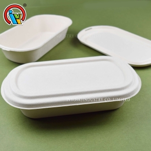 Boîte à lunch biodégradable écologique