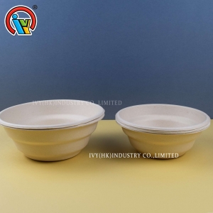 Bols alimentaires/saladiers biodégradables de 24 oz/32 oz
