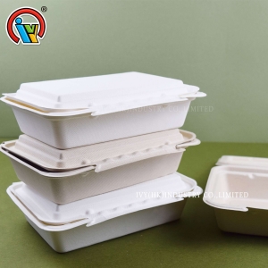 Boîte à lunch jetable biodégradable
