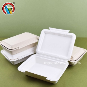 Boîte à lunch jetable biodégradable
