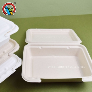 Boîte à lunch jetable biodégradable
