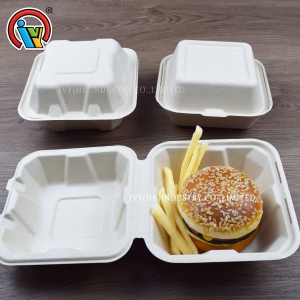 Boîte à hamburger biodégradable écologique
