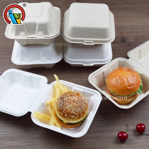 Boîte à hamburger biodégradable écologique
