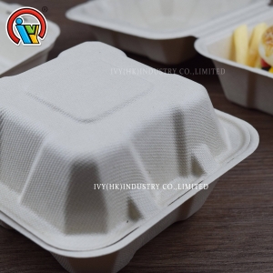 Boîte à hamburger biodégradable écologique
