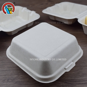 Boîte à hamburger biodégradable écologique
